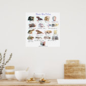 Grundfarben der Ratten Poster (Küche)