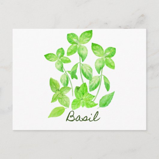 Grundfarbige Abbildung Postkarte (Vorderseite)