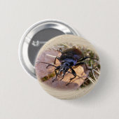 Grundkäfer ~ Knopf Button (Vorne & Hinten)