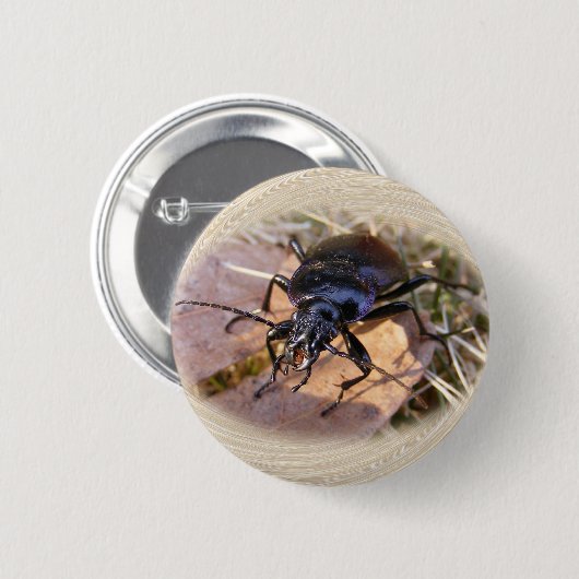 Grundkäfer ~ Knopf Button (Vorne & Hinten)