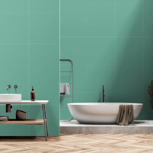 Grundlegende Aquamarine Aqua Blue Solid schlicht f Tapete