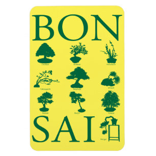 Grundlegende Stile von Bonsai Tree Magnet