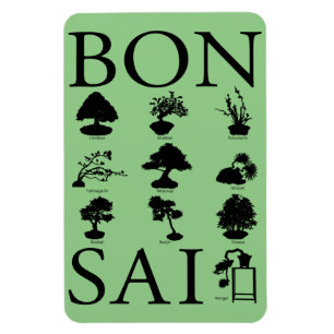 Grundlegende Stile von Bonsai Tree Magnet