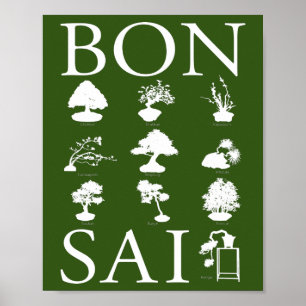 Grundlegende Stile von Bonsai Tree Poster