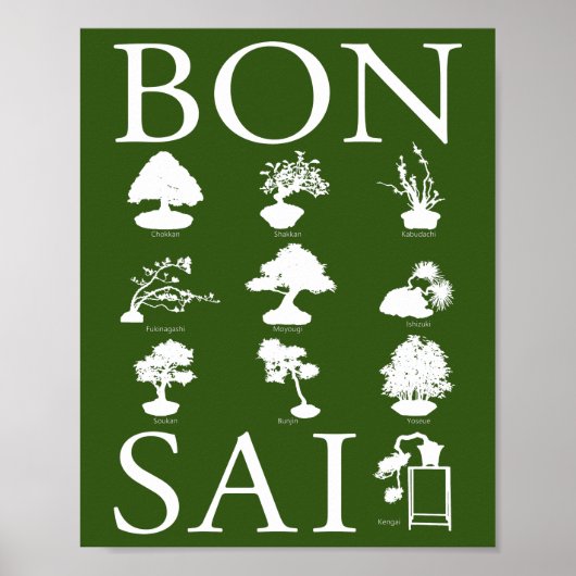 Grundlegende Stile von Bonsai Tree Poster (Vorne)