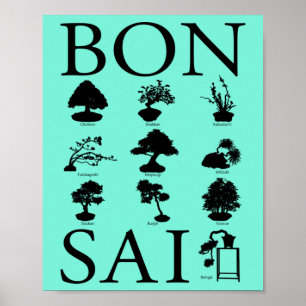 Grundlegende Stile von Bonsai Tree Poster