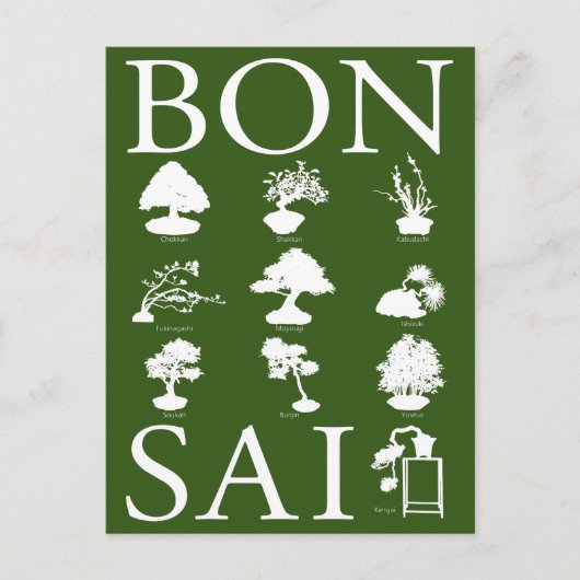 Grundlegende Stile von Bonsai Tree Postkarte (Vorderseite)