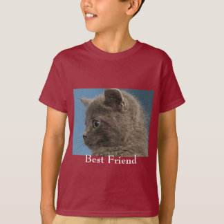 Grundlegender das Hanes Tagless ComfortSoft® der T-Shirt