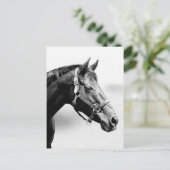 gründlich postkarte (Stehend Vorderseite)