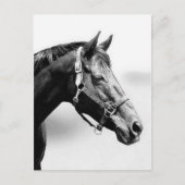 gründlich postkarte (Vorderseite)