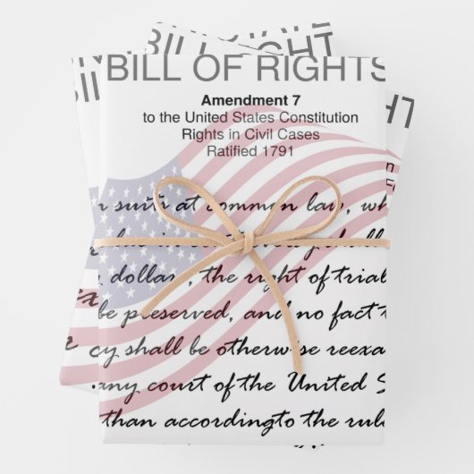 Grundrechtecharta Die Änderungsanträge 7 bis 9 Geschenkpapier Set (Beispiel)