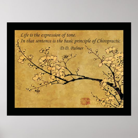 Grundsatz des Chiropraktischen Gesundheitsziels Poster (Vorne)