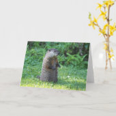 Grundschwein-Grußkarte Karte (Gelbe Blume)