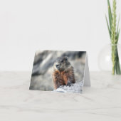 Grundschwein Karte (Vorderseite)