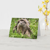 Grundstück in einem Holmlog Karte (Gelbe Blume)