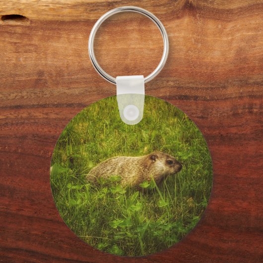 Grundstück in einem Schlüsselanhänger (Vorderseite)