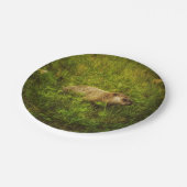 Grundstück in Tellern Pappteller (Schrägansicht)