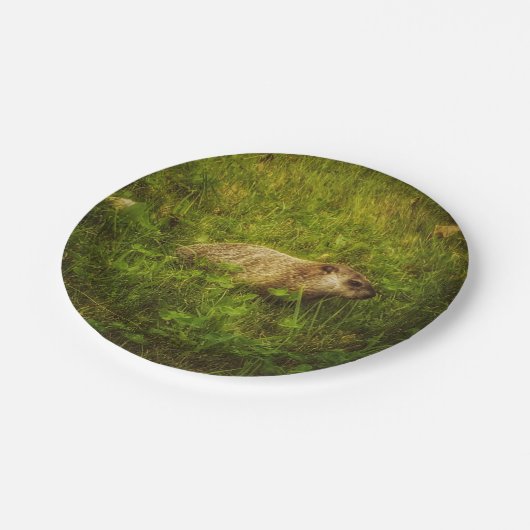 Grundstück in Tellern Pappteller (Schrägansicht)