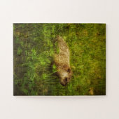 Grundstück Puzzle (Horizontal)