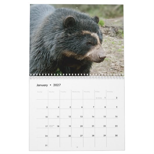 Gründungskalender der Anden Bear Foundation 2013 Kalender (Jan 2027)