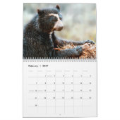 Gründungskalender der Anden Bear Foundation 2013 Kalender (Feb 2027)