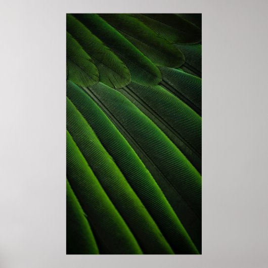 Grüne 3D-Tapete Poster (Vorne)