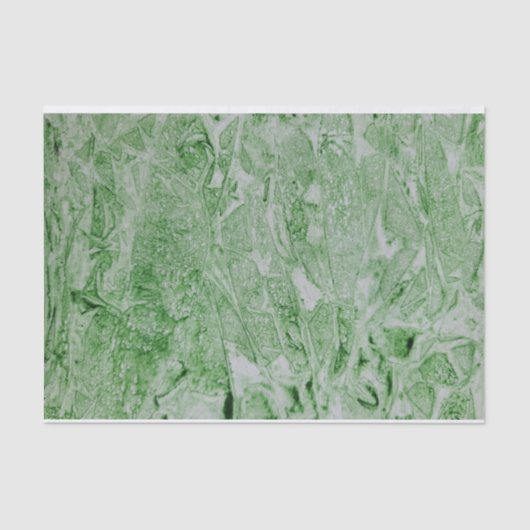 Grüne Abstrakte Wasserfarbe Seidenpapier (Vorderseite)