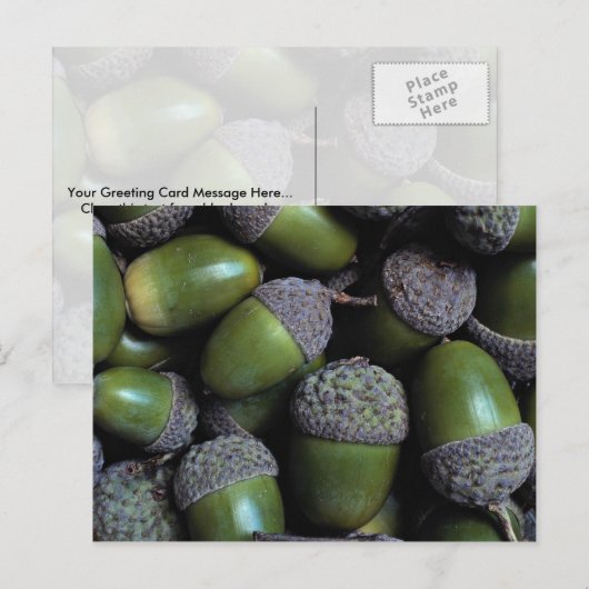 Grüne Acornüsse Postkarte (Vorne/Hinten)