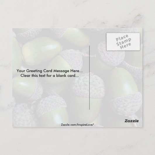 Grüne Acornüsse Postkarte (Rückseite)