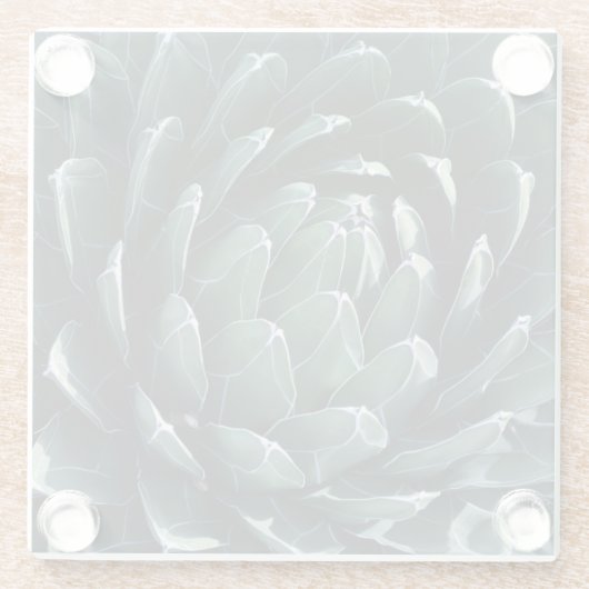 Grüne Agave Glasuntersetzer (Rückseite)