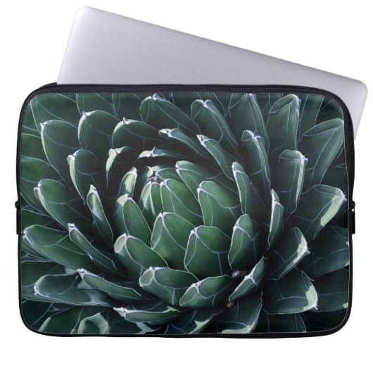 Grüne Agave Laptopschutzhülle (Vorderseite)