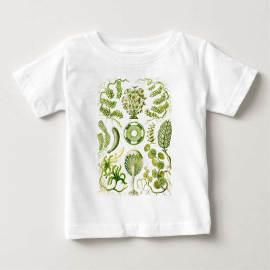 Grüne Algen Baby T-shirt (Vorderseite)