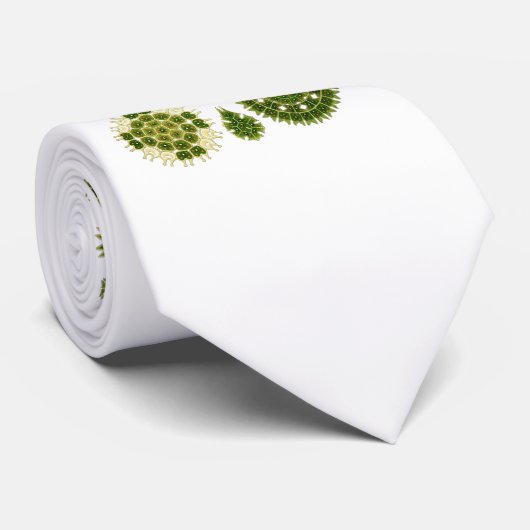 Grüne Algen Krawatte (Gerollt)