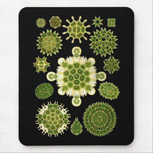 Grüne Algen Mousepad