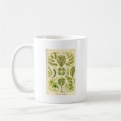 Grüne Algen-Tasse Kaffeetasse (Links)