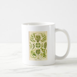 Grüne Algen-Tasse Kaffeetasse