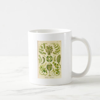 Grüne Algen-Tasse Kaffeetasse