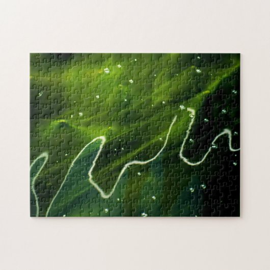 Grüne Algen und Wasser 11x14 252pc jpcn Puzzle (Horizontal)
