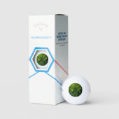 Grüne Algen und Wasser css gbcna Golfball (Verpackung)