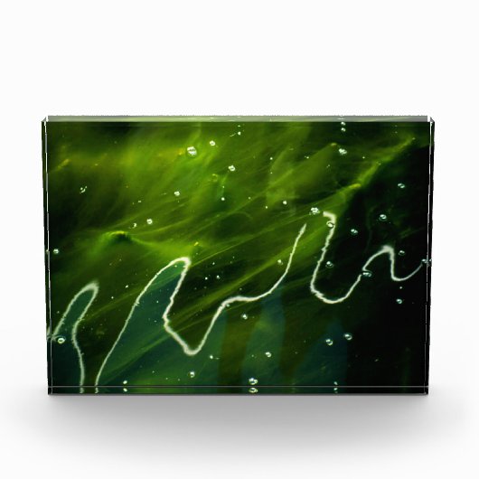 Grüne Algen und Wasser Fotoblock (Vorderseite)