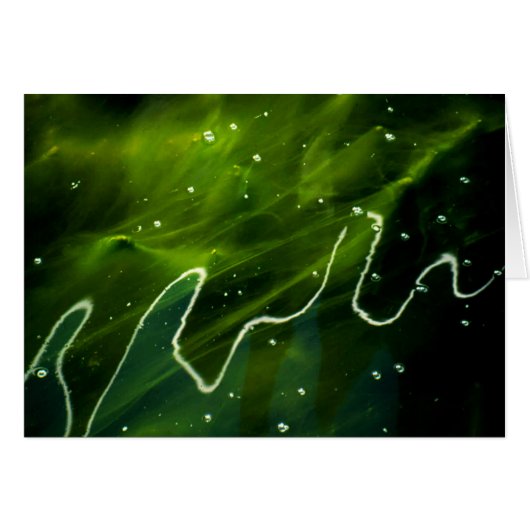 Grüne Algen und Wasser Gccna (Vorderseite (Horizontal))