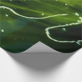 Grüne Algen und Wasser Geschenkpapier (Ecke)