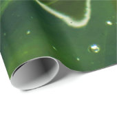 Grüne Algen und Wasser Geschenkpapier (Rolleneckpunkt)