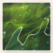 Grüne Algen- und Wasserküste Glasuntersetzer (Vorderseite)