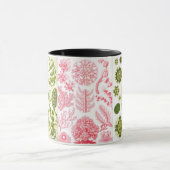 grüne Algen, verschieden, haeckel Tasse (Zentrum)