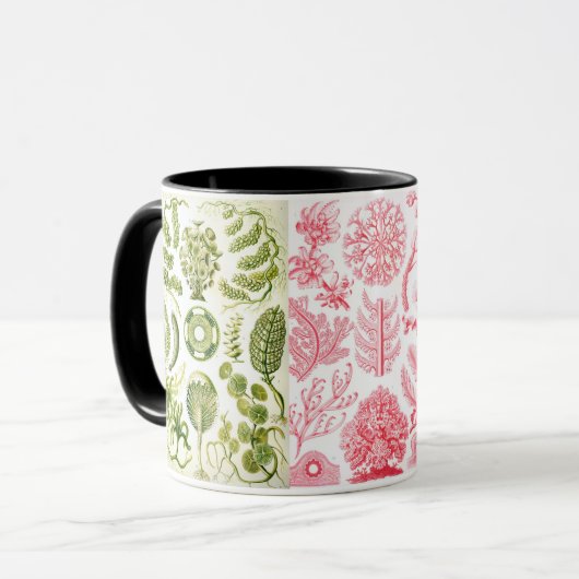 grüne Algen, verschieden, haeckel Tasse (Vorderseite Links)