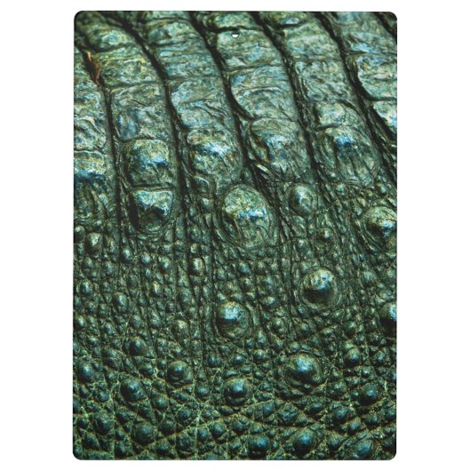 Grüne Alligator-Skin-Textur Klemmbrett (Rückseite)