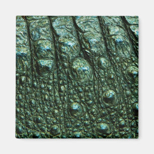 Grüne Alligator-Skin-Textur Magnet