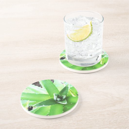 Grüne Aloe Sandstein Untersetzer (Seite)