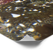 Grüne Anemone und ockerfarbene Meeressterne Poster (Ecke)